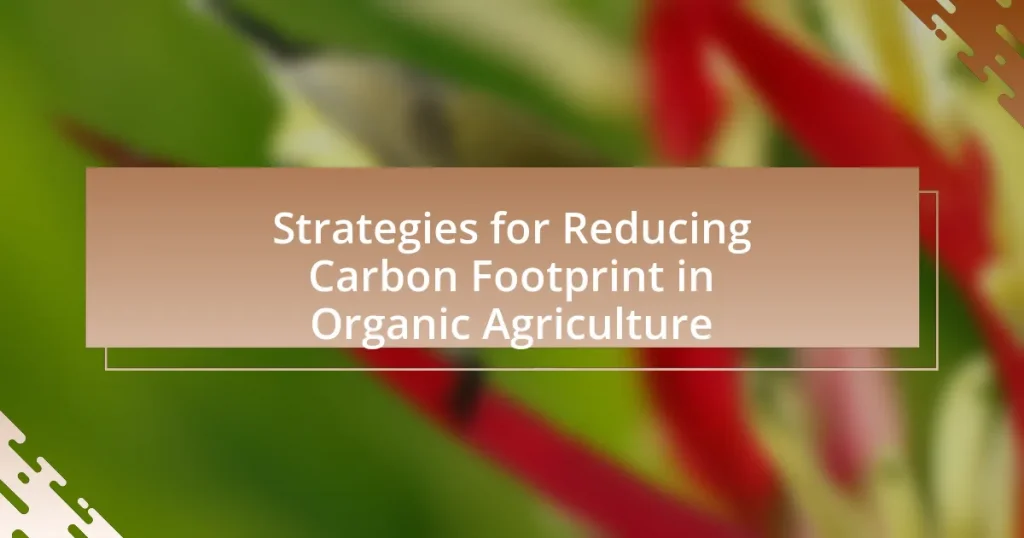 Strategies for Reducing Carbon Footprint in Organic Agriculture