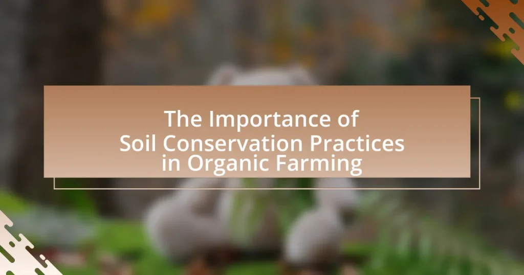 The Importance of Soil Conservation Practices in Organic Farming