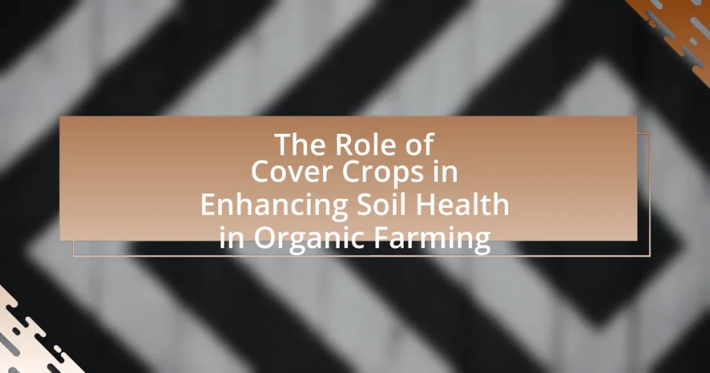 The Role of Cover Crops in Enhancing Soil Health in Organic Farming