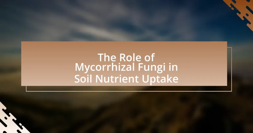 The Role of Mycorrhizal Fungi in Soil Nutrient Uptake