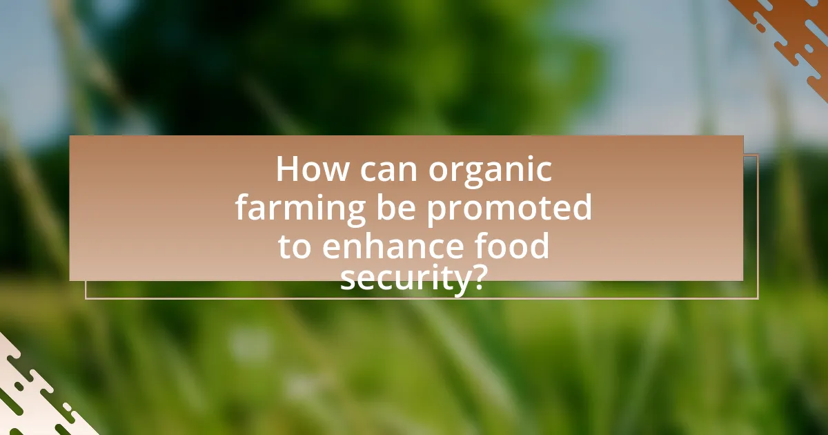 How can organic farming be promoted to enhance food security?
