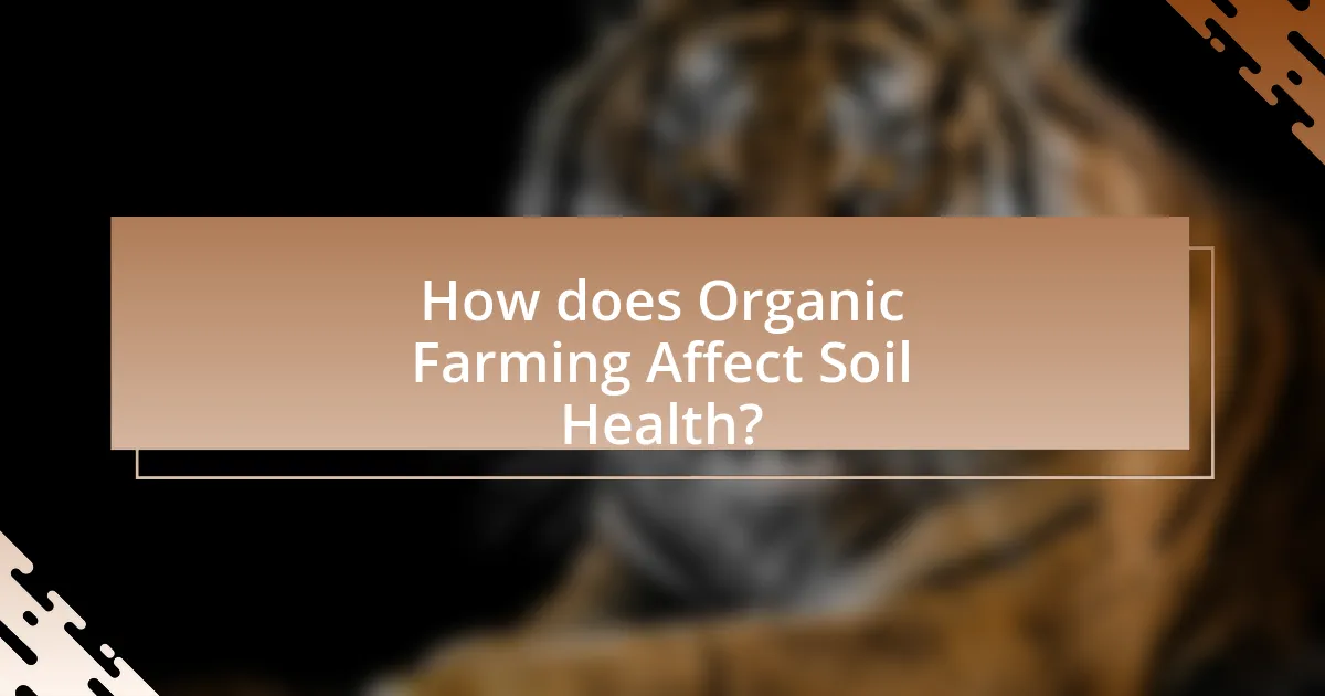 How does Organic Farming Affect Soil Health?