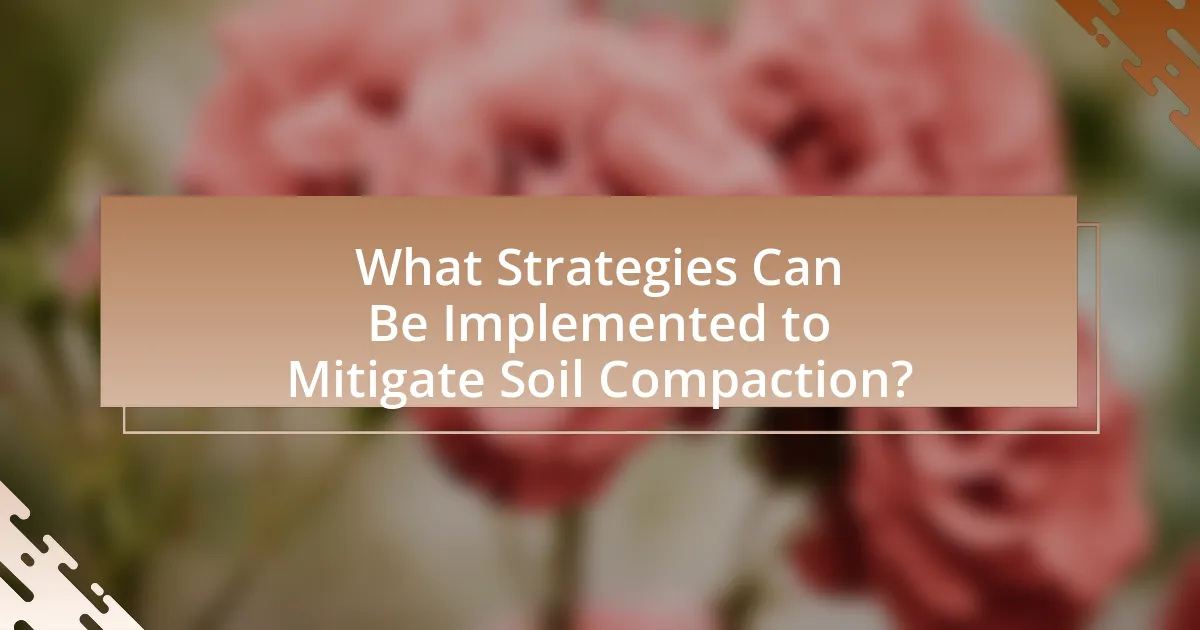 What Strategies Can Be Implemented to Mitigate Soil Compaction?