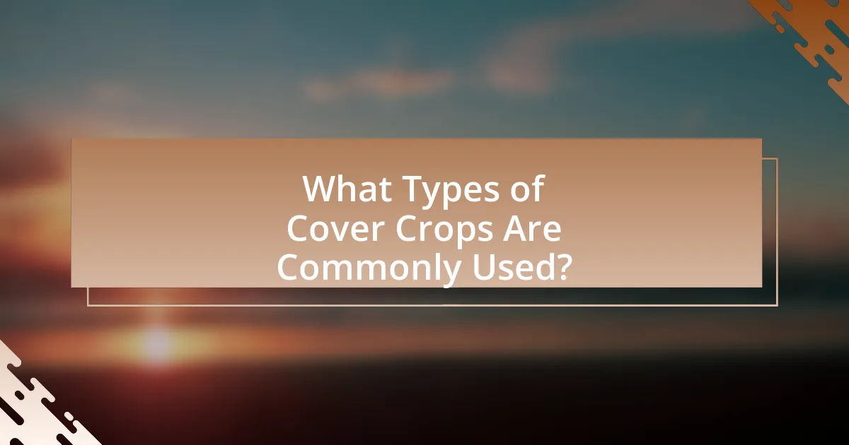 What Types of Cover Crops Are Commonly Used?
