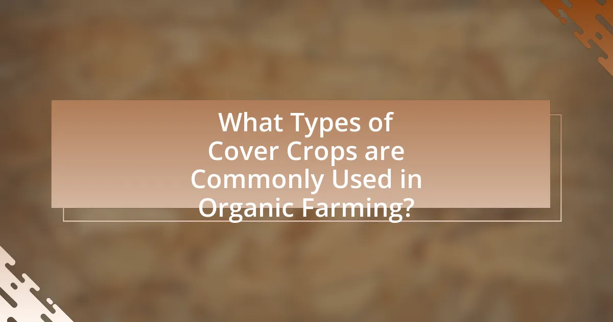 What Types of Cover Crops are Commonly Used in Organic Farming?