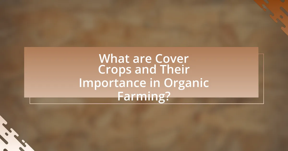 What are Cover Crops and Their Importance in Organic Farming?