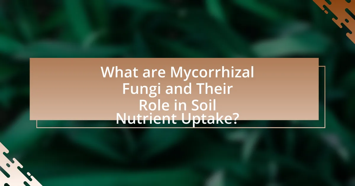 What are Mycorrhizal Fungi and Their Role in Soil Nutrient Uptake?