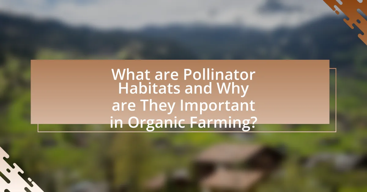 What are Pollinator Habitats and Why are They Important in Organic Farming?