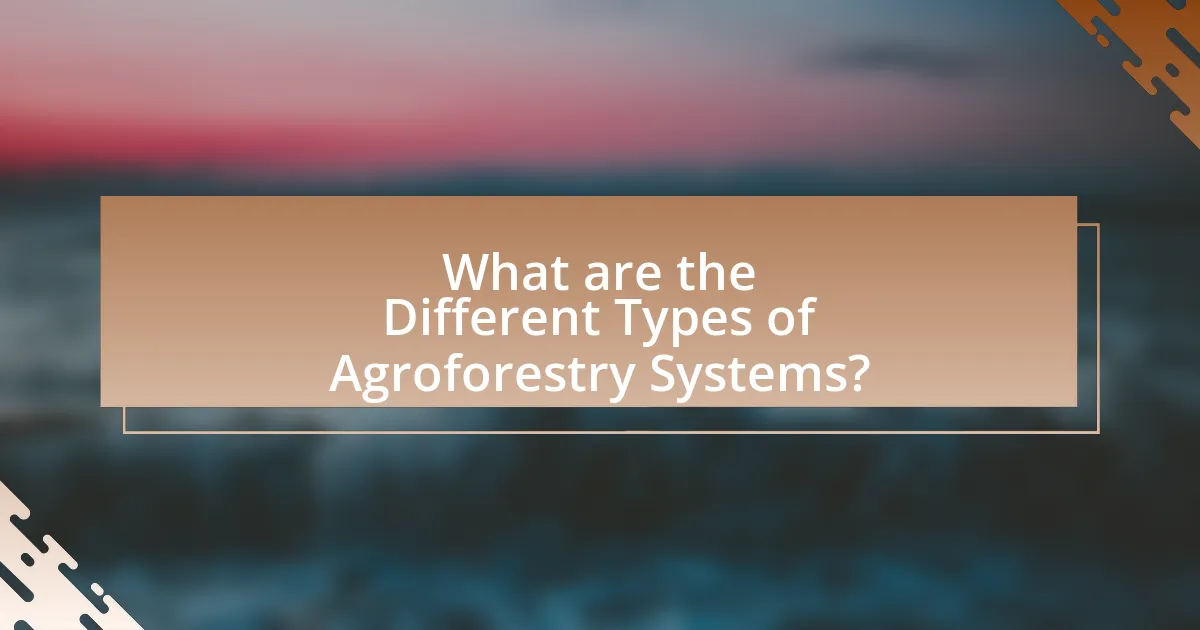 What are the Different Types of Agroforestry Systems?