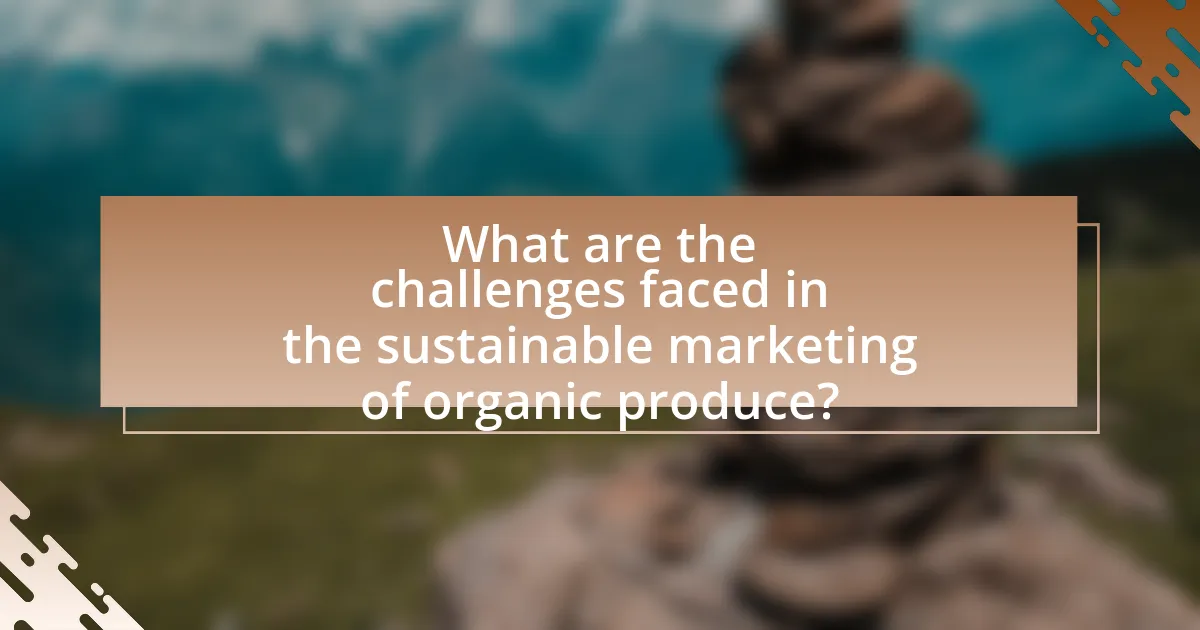What are the challenges faced in the sustainable marketing of organic produce?