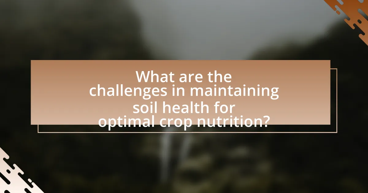 What are the challenges in maintaining soil health for optimal crop nutrition?