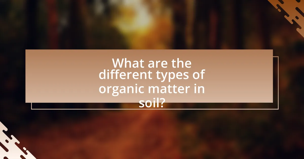 What are the different types of organic matter in soil?