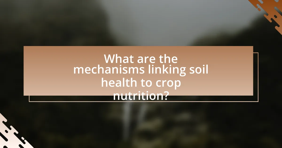 What are the mechanisms linking soil health to crop nutrition?