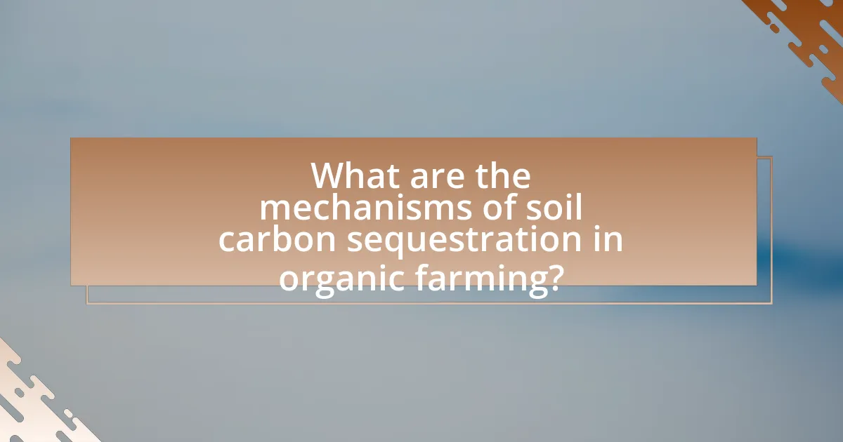 What are the mechanisms of soil carbon sequestration in organic farming?