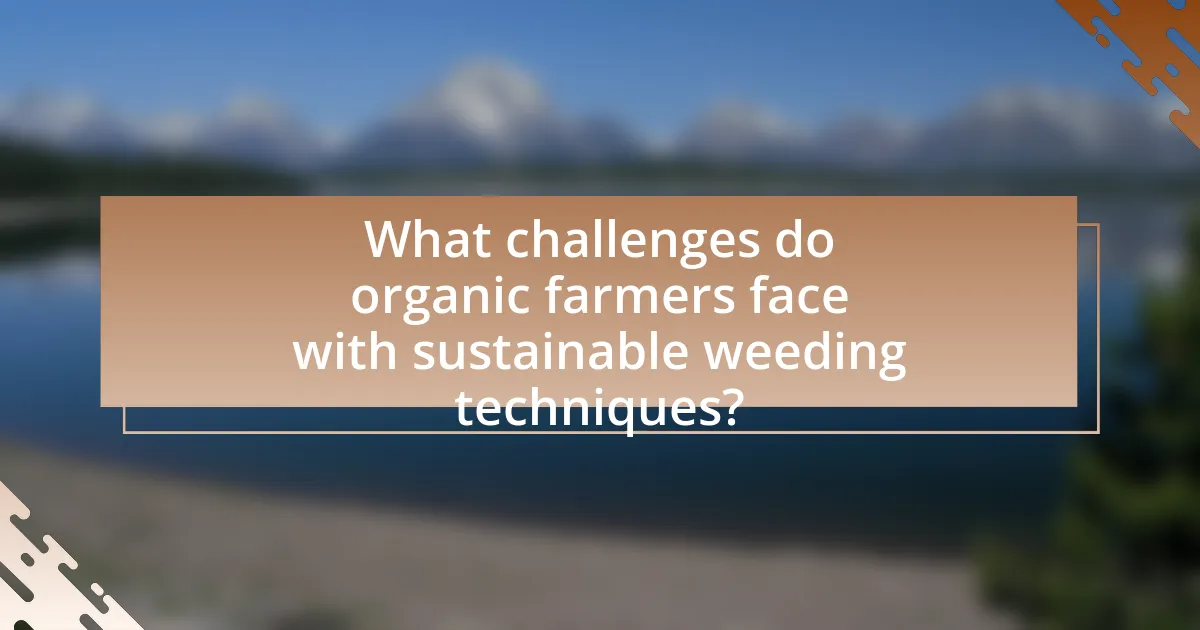 What challenges do organic farmers face with sustainable weeding techniques?