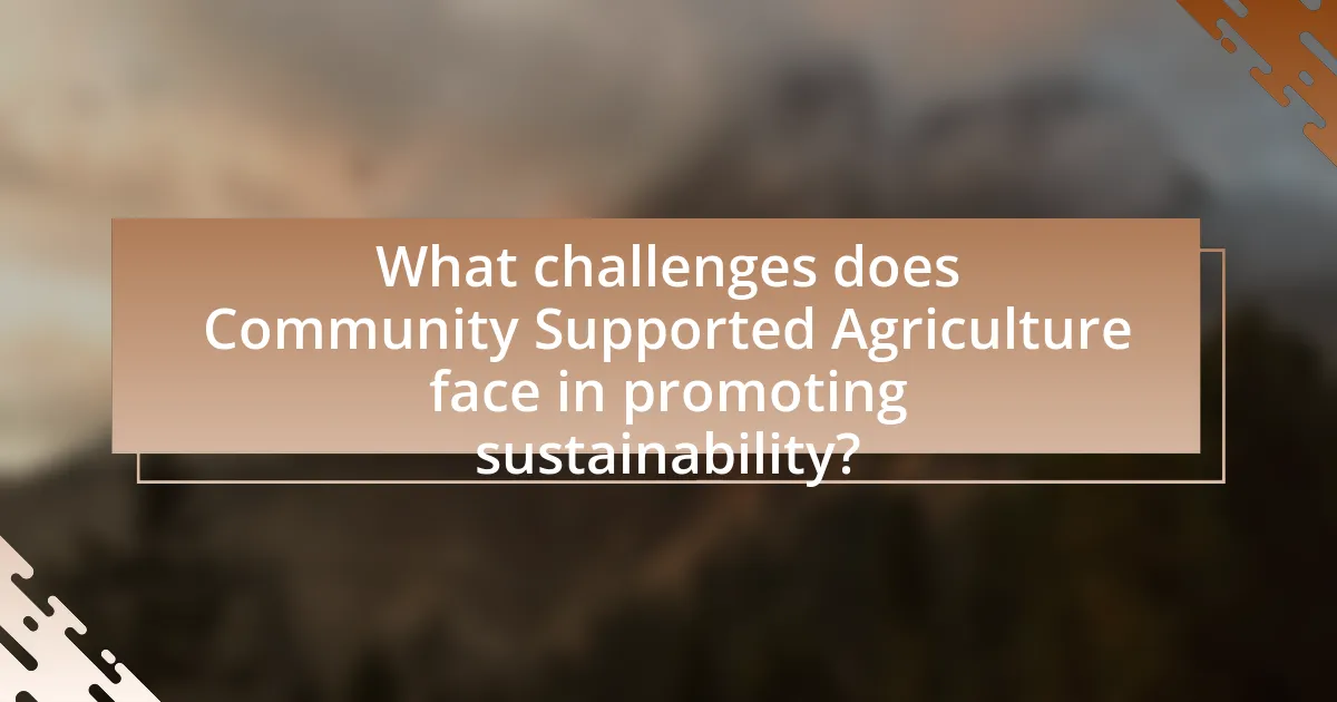 What challenges does Community Supported Agriculture face in promoting sustainability?