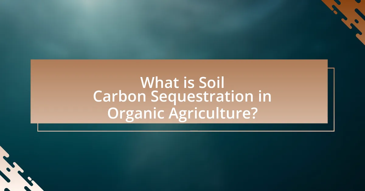 What is Soil Carbon Sequestration in Organic Agriculture?