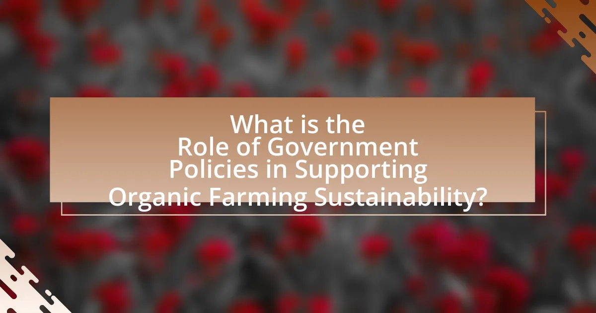 What is the Role of Government Policies in Supporting Organic Farming Sustainability?