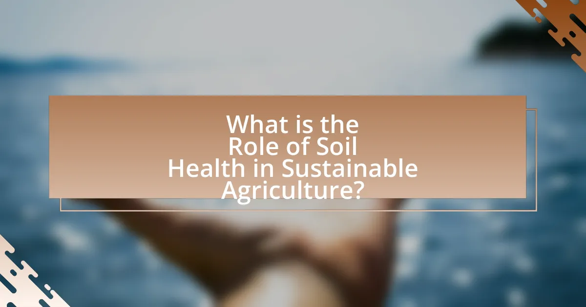 What is the Role of Soil Health in Sustainable Agriculture?