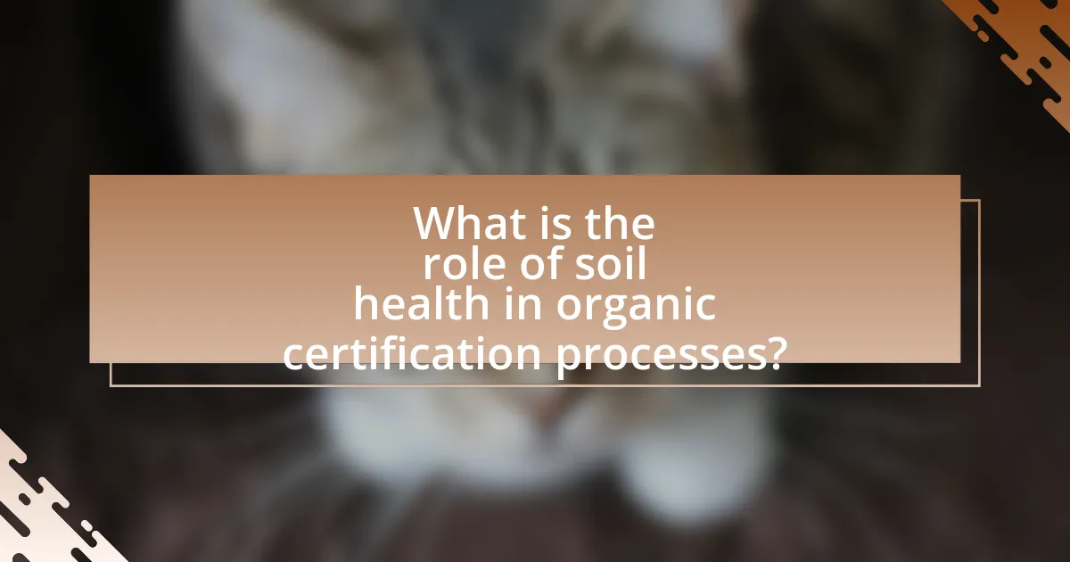 What is the role of soil health in organic certification processes?
