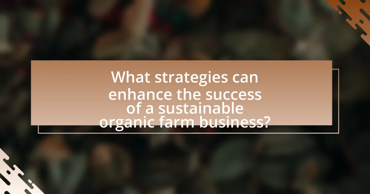 What strategies can enhance the success of a sustainable organic farm business?